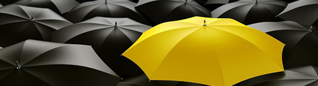 branding_169201611157214
